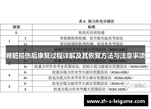 肾脏损伤后康复过程详解及其恢复方法与注意事项 肾脏损伤后康复过程详解及其恢复方法与注意事项