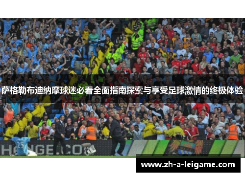 萨格勒布迪纳摩球迷必看全面指南探索与享受足球激情的终极体验