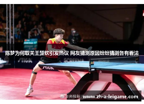 陈梦为何取关王楚钦引发热议 网友猜测原因纷纷猜测各有看法
