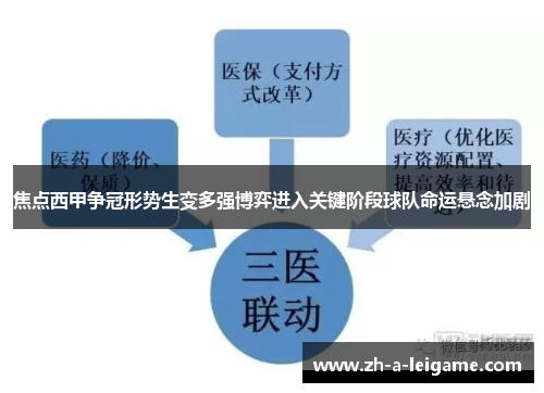 焦点西甲争冠形势生变多强博弈进入关键阶段球队命运悬念加剧
